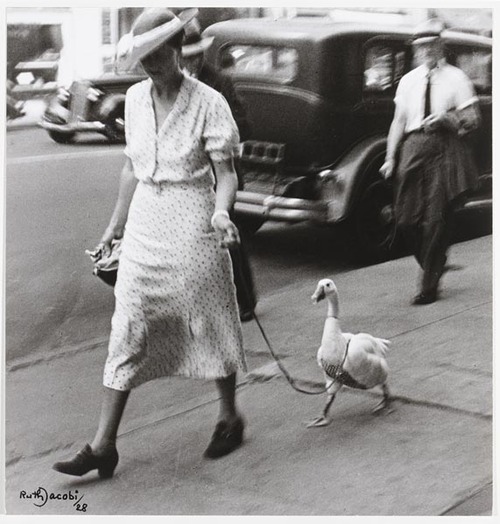 Ruth Jacobi, Spaziergang, New York 1928