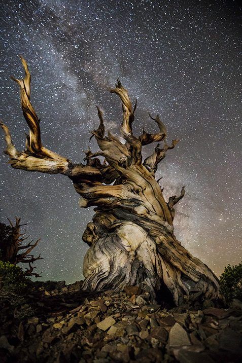 ©Beth Moon