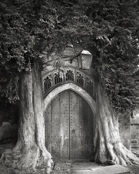 ©Beth Moon