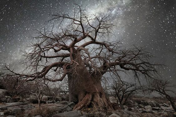 ©Beth Moon