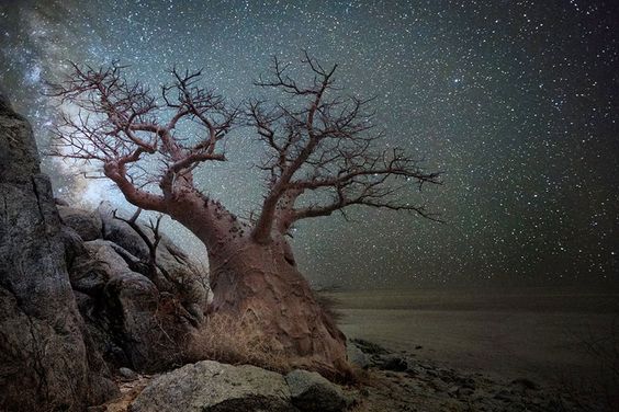 ©Beth Moon