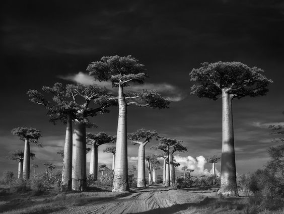 ©Beth Moon