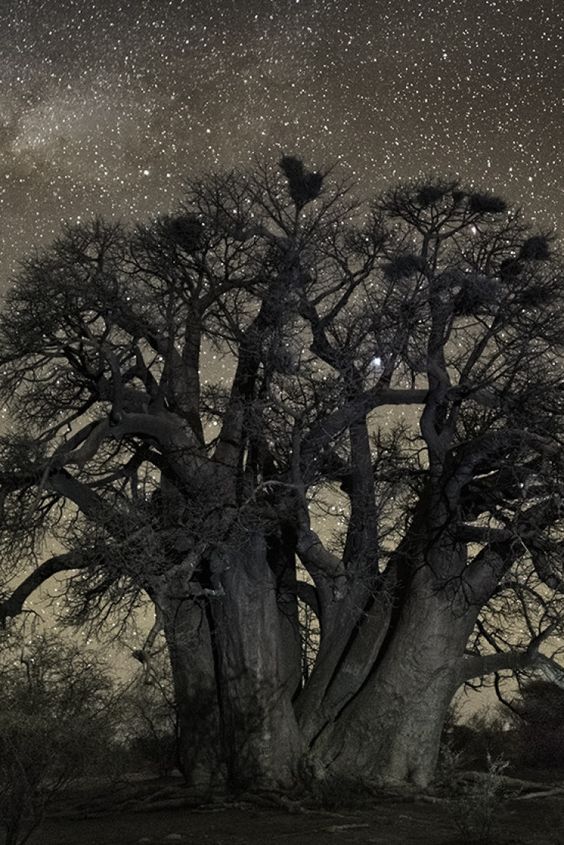 ©Beth Moon