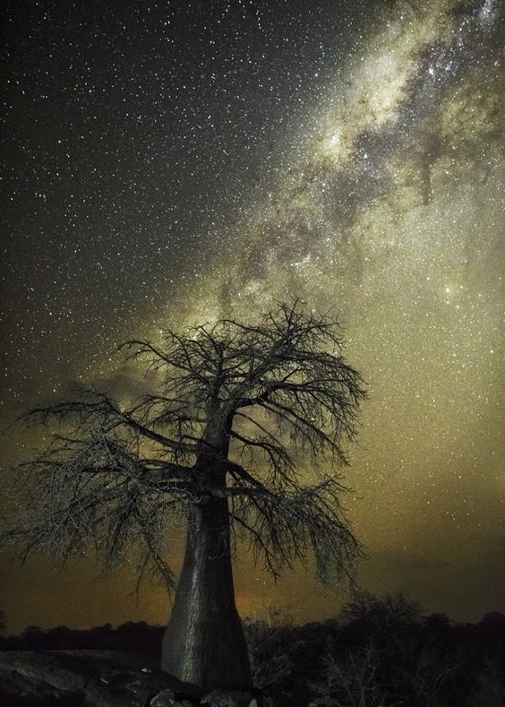 ©Beth Moon