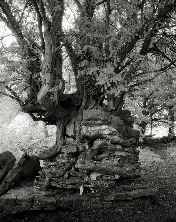 ©Beth Moon