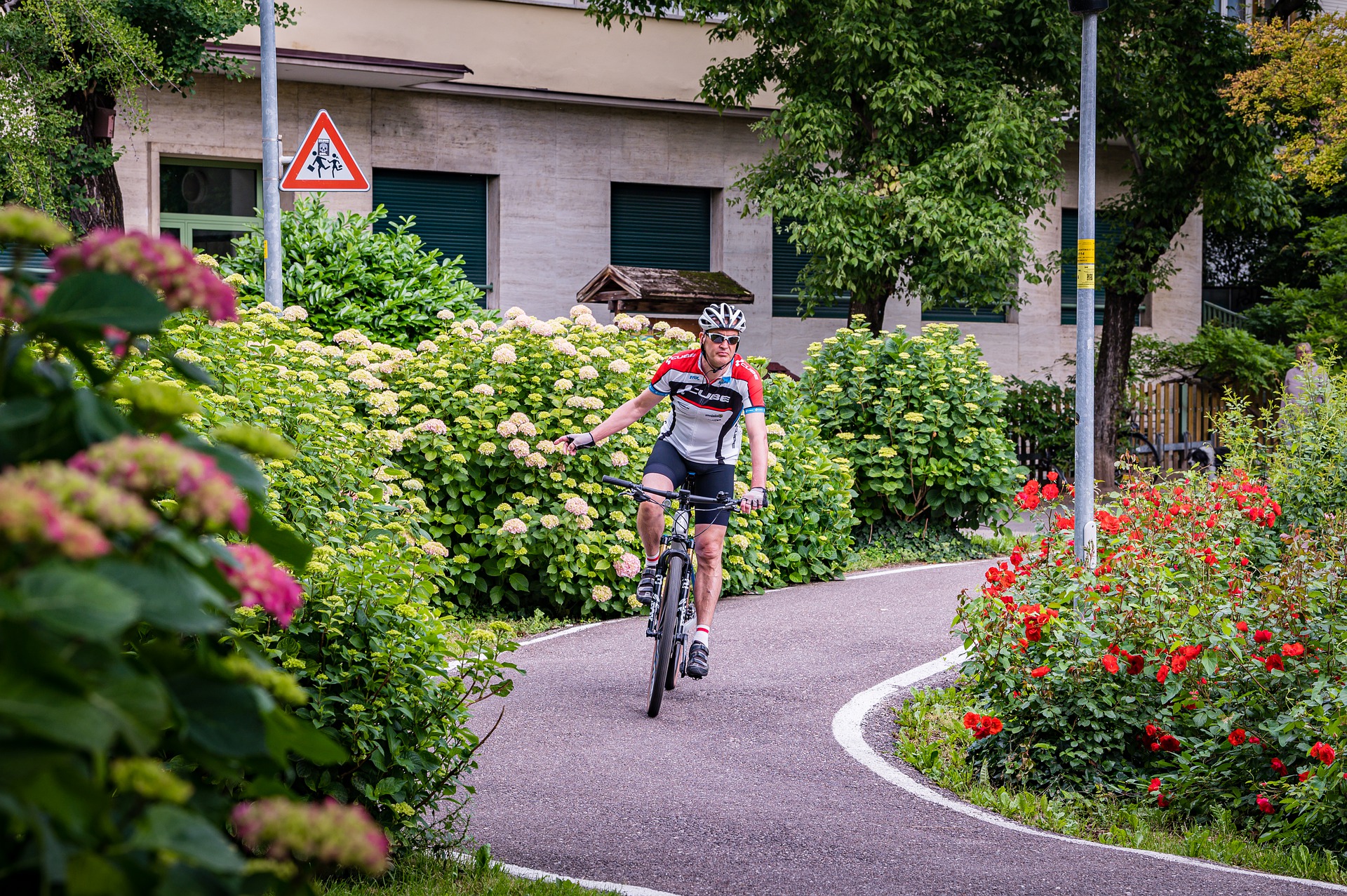 cyclist-8008357_1920.jpg