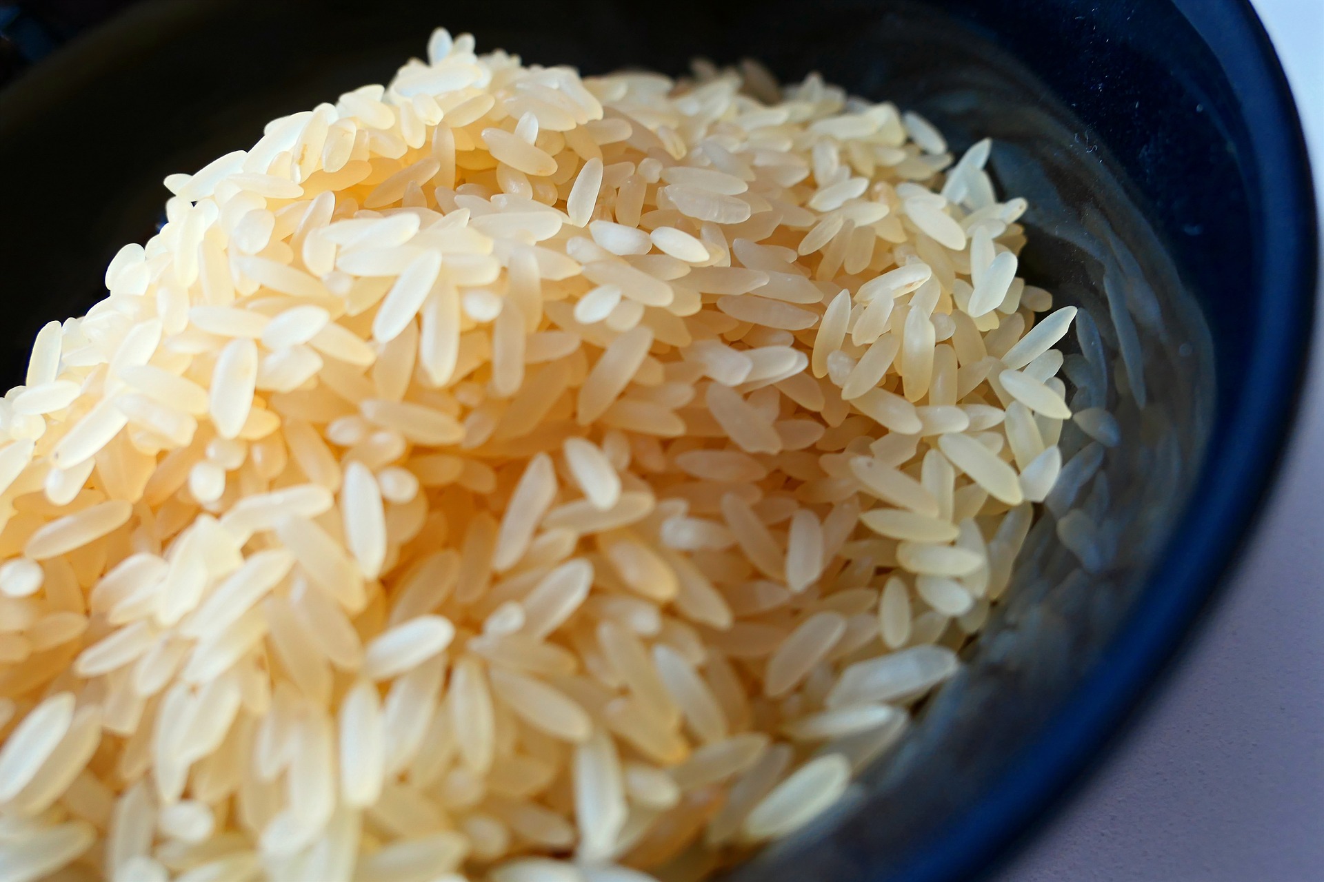 rice-2380808_1920.jpg