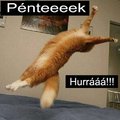 Végre péntek :)