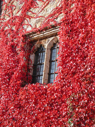 Hever Castle.jpg