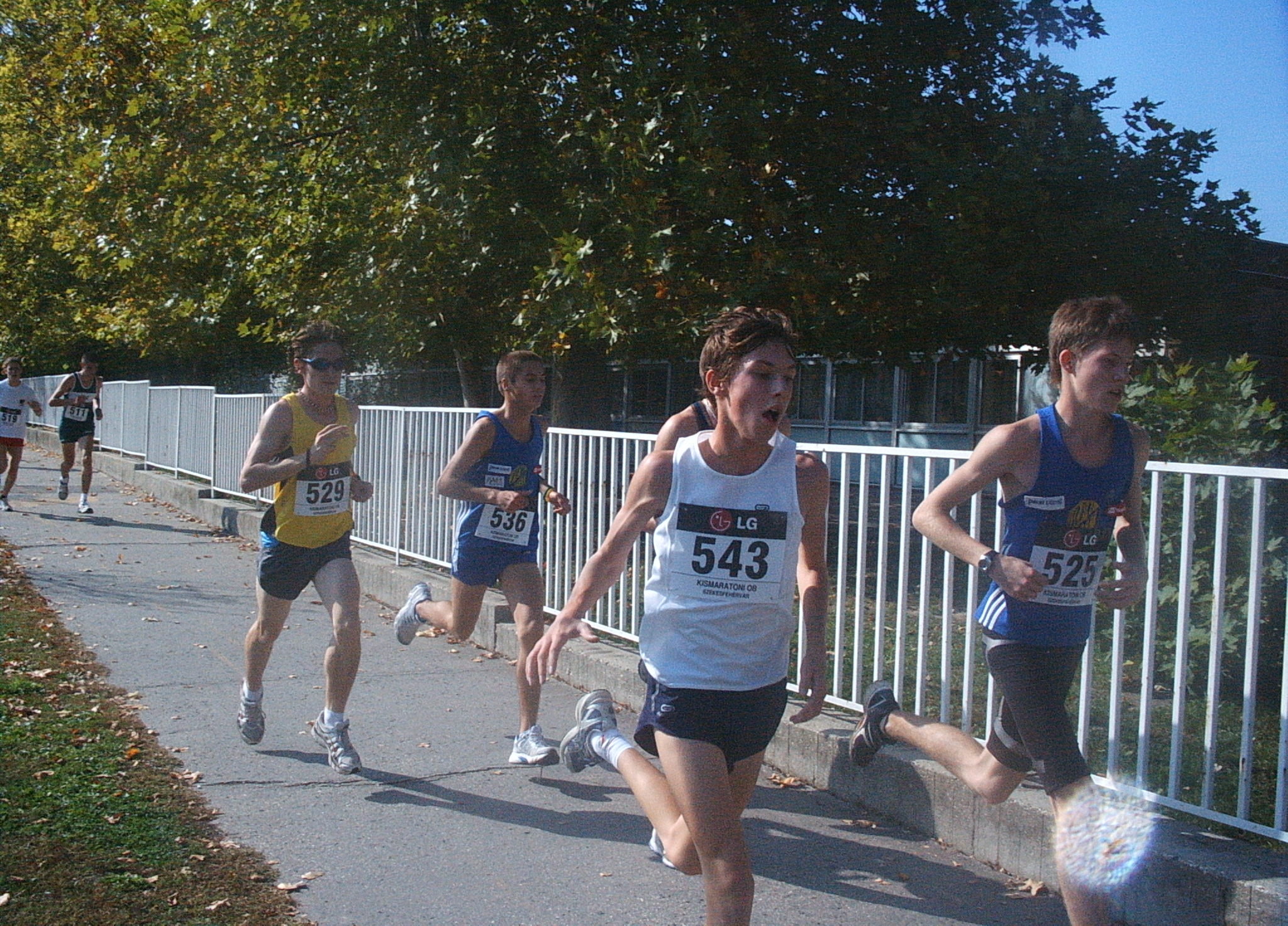 2008_szekesfehervar_ob_kismaraton_ii.jpg