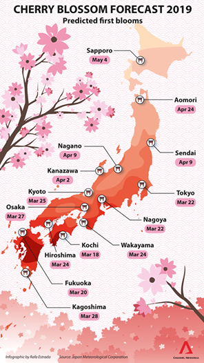 cherry_blossom_dates_japan_2019.png