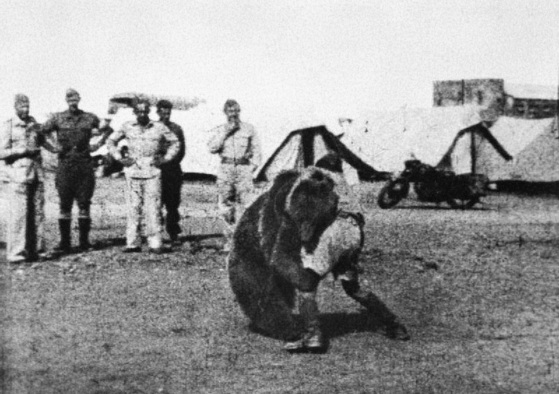 polish_22_transport_artillery_company_watch_as_one_of_their_comrades_play_wrestles_with_wojtek_their_mascot_bear_during_their_service_in_the_middle_east.jpg