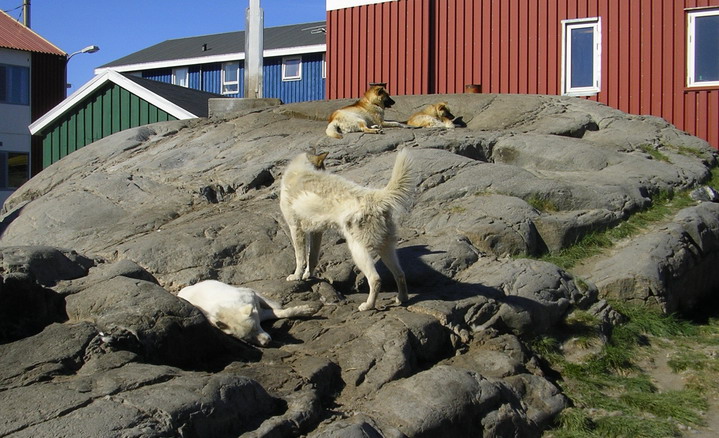 198_uummannaq10059.jpg