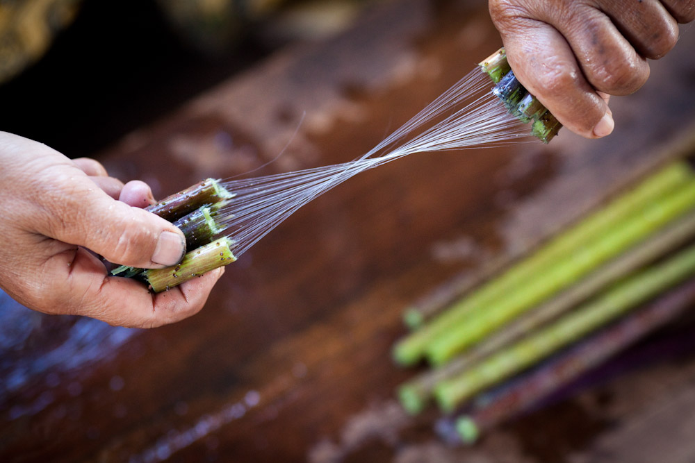 fibre-lotus-silk-weaving-inle-lake-.jpg