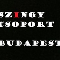 szingy csoport budapest