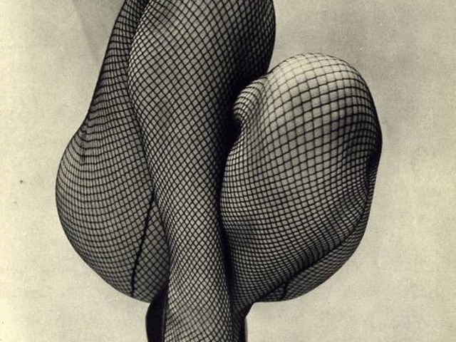 The legs
