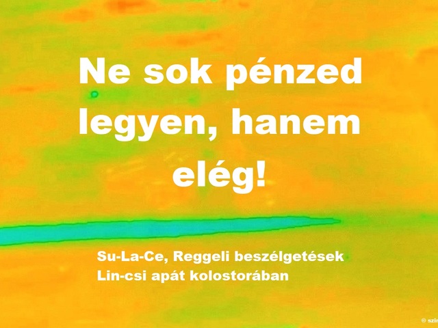 Ne sok pénzed legyen, hanem elég!
