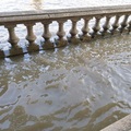 Thames High Tides