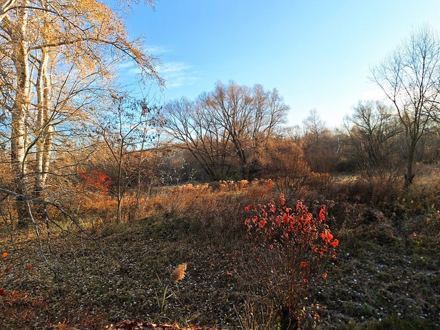 Autumn in December