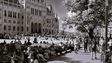 Photograph (György Németh)