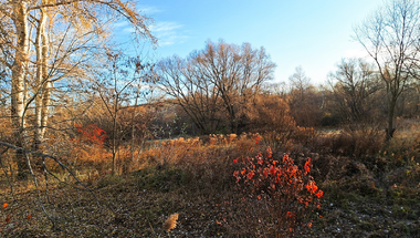 Autumn in December