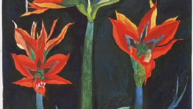Joseph Stella - Red Amaryllis, c. 1929