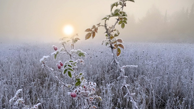 The Winter Solstice is the shortest day