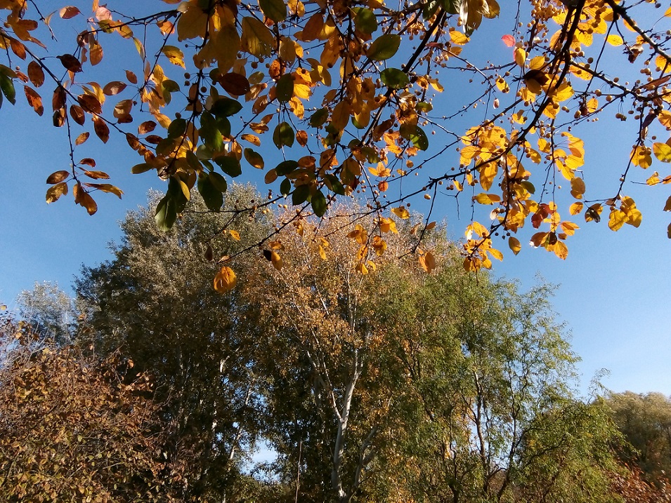 autumn_kerepes_44_nemeth_gyorgy_foto.jpg