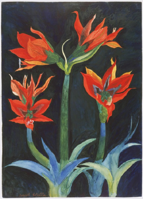 joseph_stella_red_amaryllis.jpg