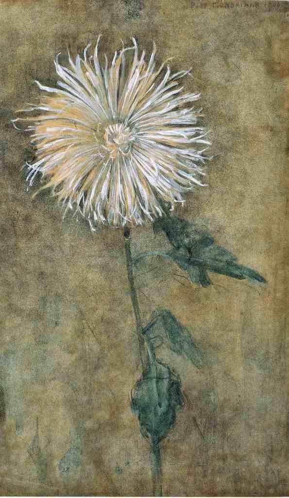 piet_mondrian_chrysanthemum.jpg