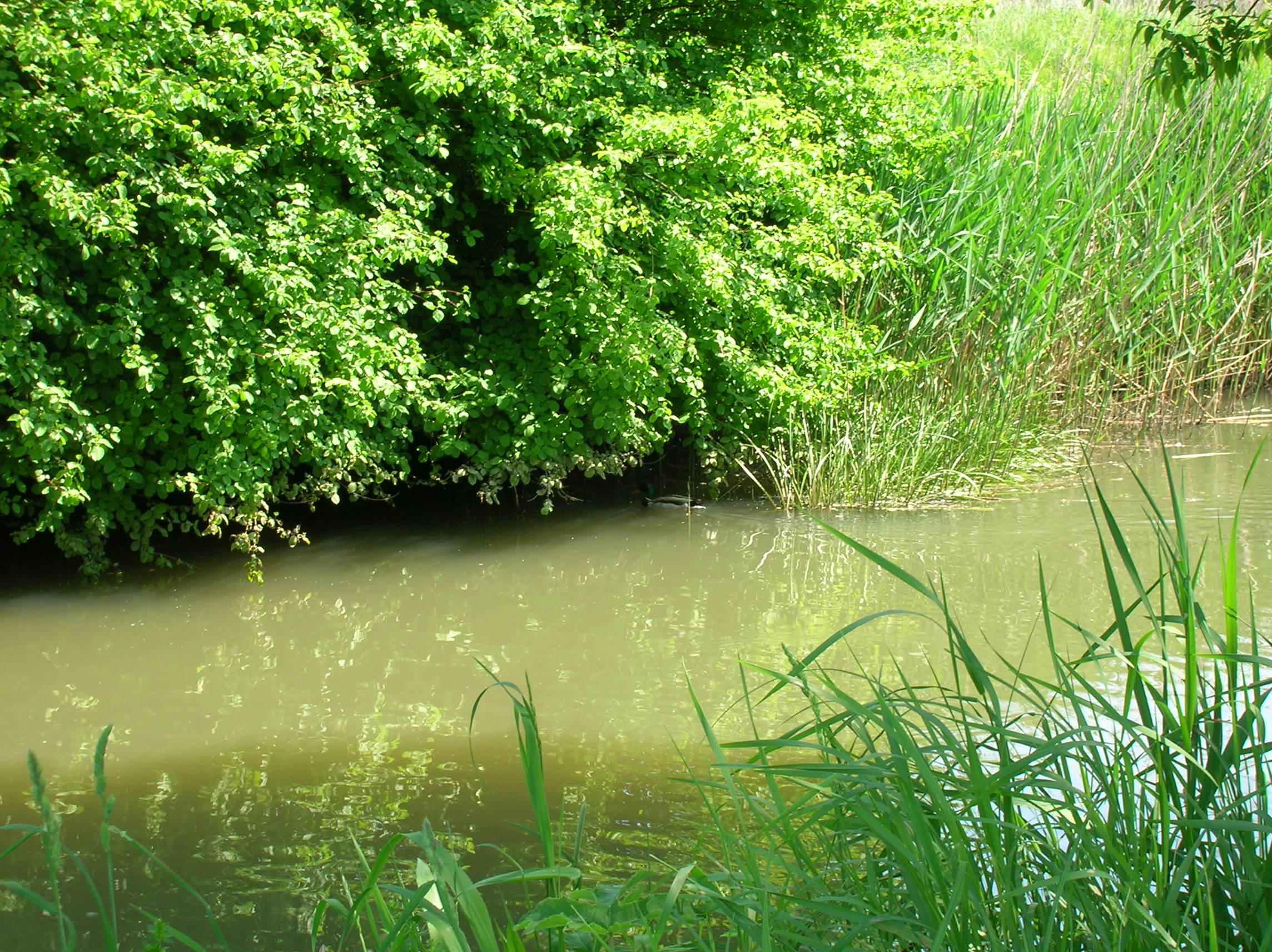 DSCN5922.JPG