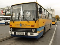 busz.jpg