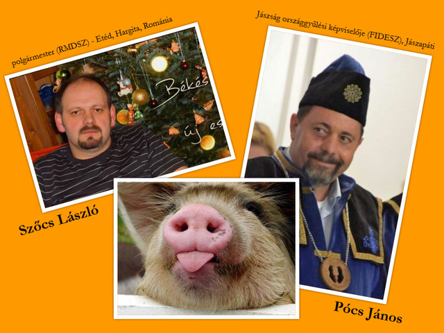Pócs János, a Disznóügyi Nagyúr – feljelentés