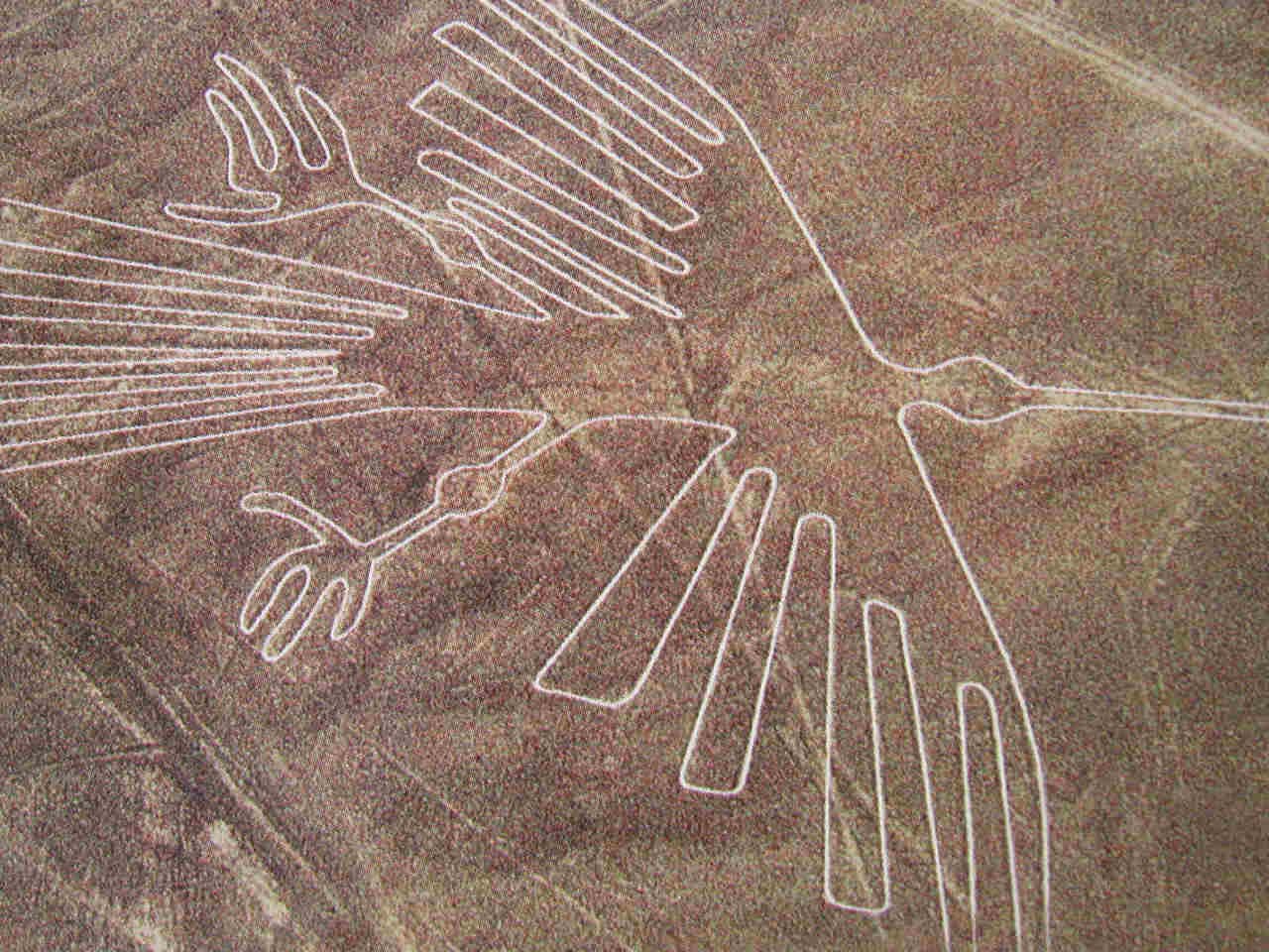 nasca3.jpg