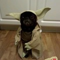 Yoda jelmez