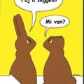 Húsvéti Csokinyuszik