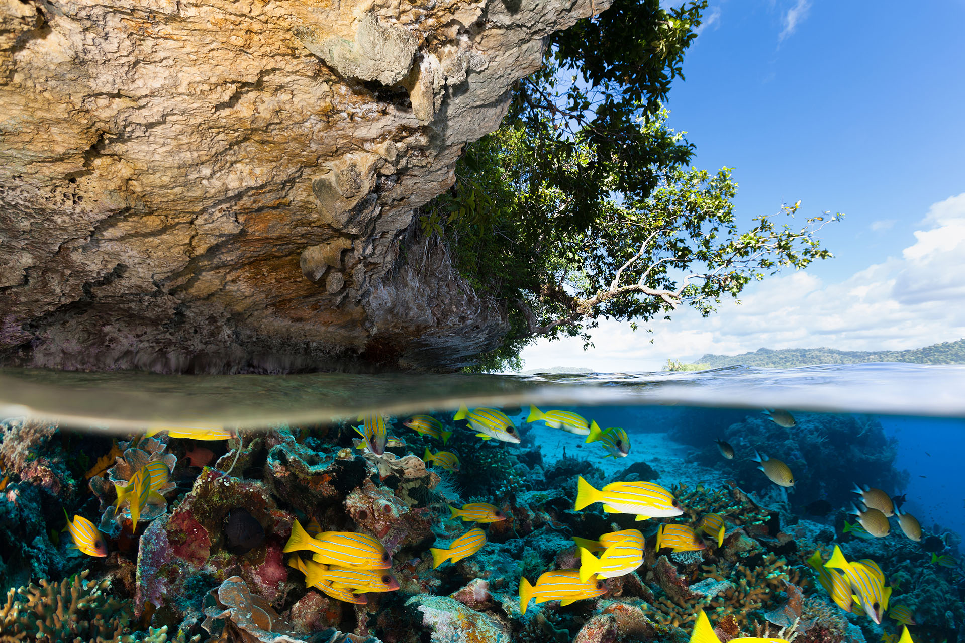 raja-ampat-above-underwater.jpg