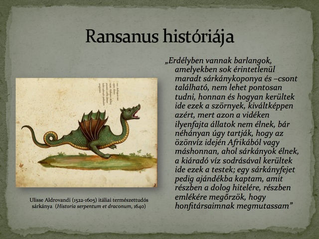 A sárkánykoponya nem medve