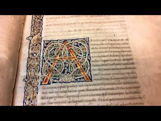 Corvinaünnep fátyol nélkül  – Mátyás cseh királyi címere