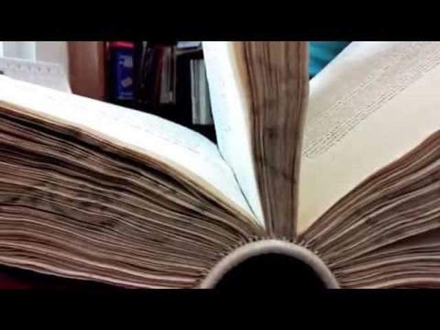 Corvinaünnep fátyol nélkül  – A legnagyobb, a legszebb