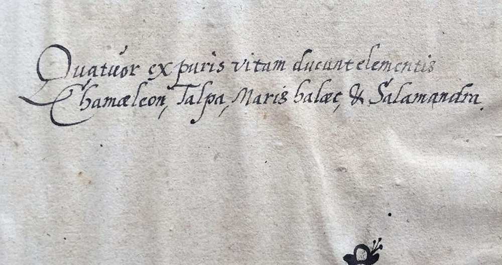 Lycosthenes, Conrad: Wunderwerck oder Gottes unergründtliches Vorbilden, da er inn seinen Gschöppfen allen so geystlichen so leyblichen, in Fewr, Lufft, Wasser, Erden ... biss zu unserer diser Zeit erscheynen ... lassen, ford.: Herold, Johannes Basilius. Basel, typ.: Petri, Heinrich, 1557. Jelzet: Ant. 311. Bejegyezés a háttáblán. Részlet – Régi Nyomtatványok Tára https://nektar.oszk.hu/hu/manifestation/3465906