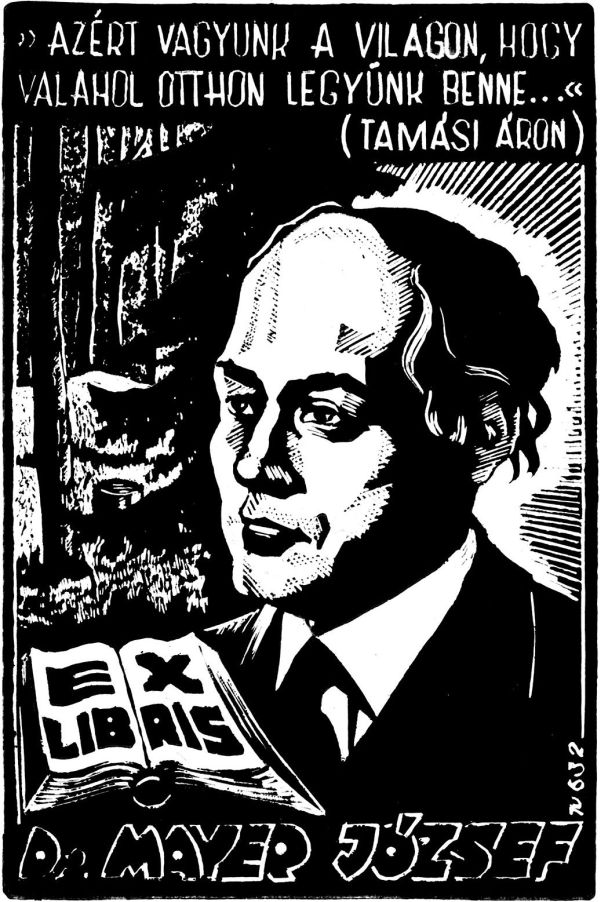 2_kep-mayer_j_-torrov-_azert_vagyunk_j3.jpg