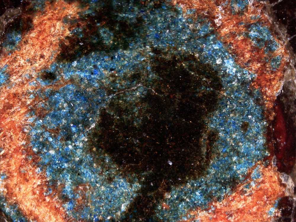 A mikroszkópos képen jól látszanak az élénk színű festékszemcsék (Cod. Lat. 345). Fotó: Vilcsek Andrea