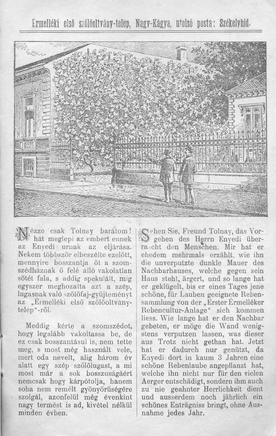 Az érmelléki első szőlőoltványtelep 1903–1904. évi árjegyzéke. Részlet. Székelyhíd, 1903 – Törzsgyűjtemény