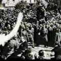 Egészséges Fejbőr - Esküszünk