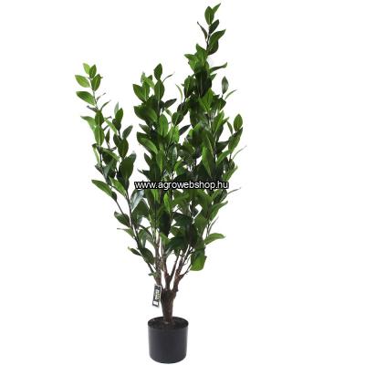 feltoro-ficus-mufa-120-x-40-cm-elethu-surulevelu-munoveny-new-garden-pz11-1_13815_400x400.jpg