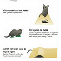 9 jel arra, hogy a macskád meg akar ölni