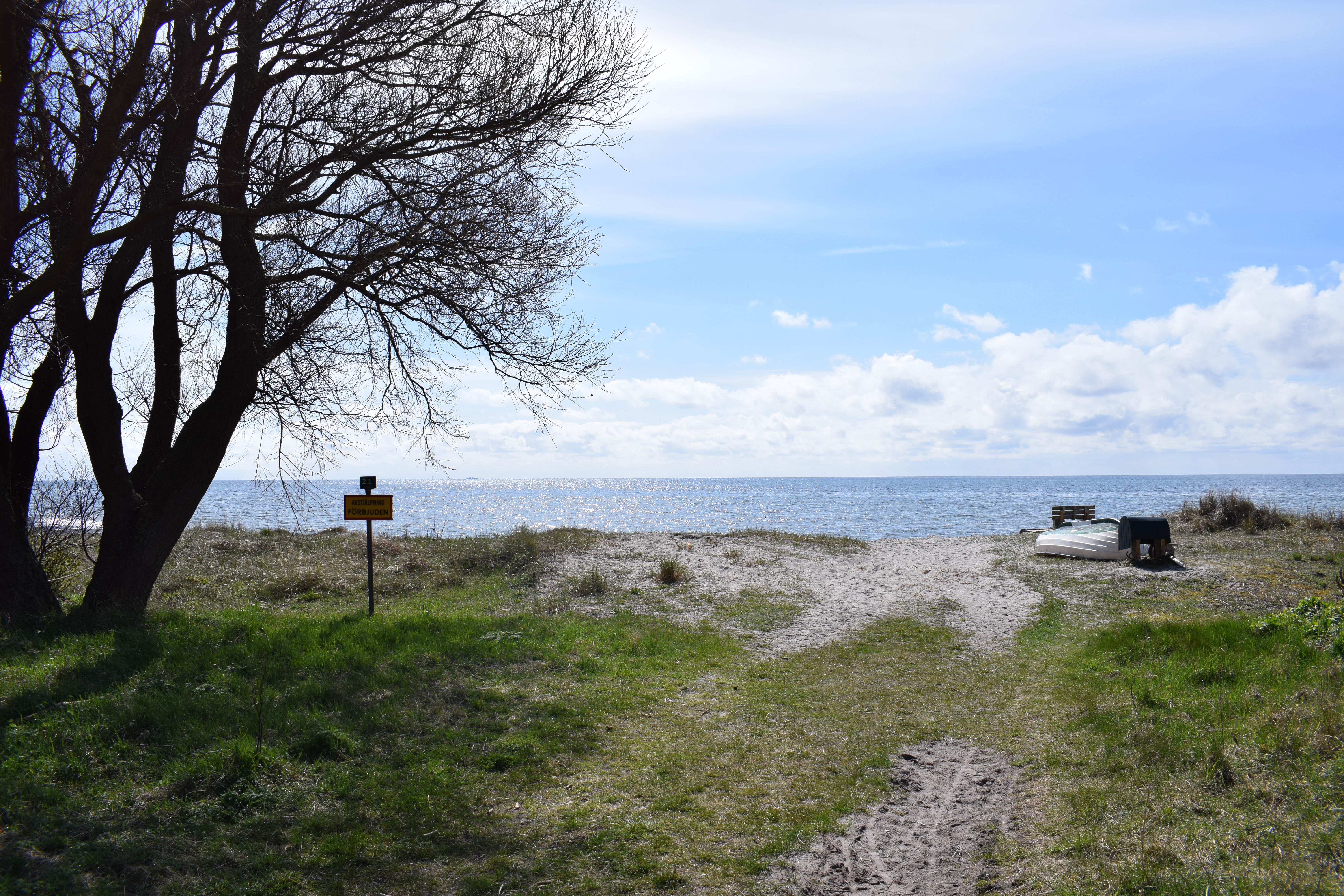 dsc_0194.JPG