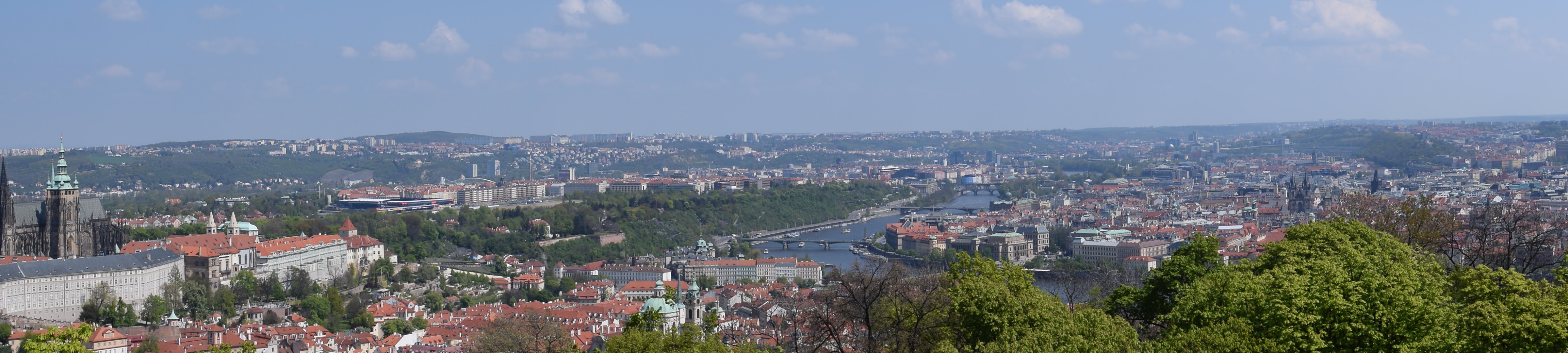 dsc_0768.JPG