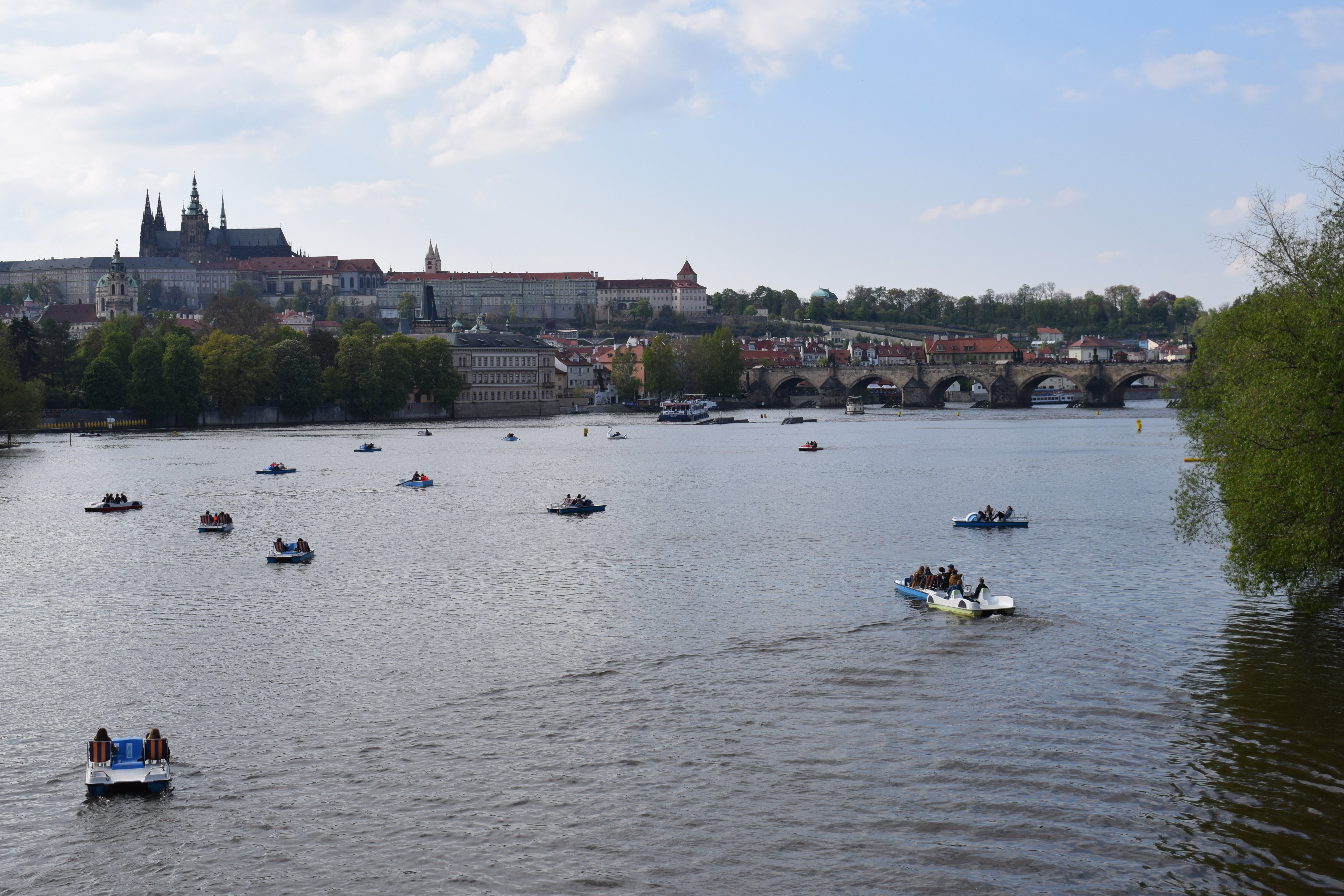 dsc_0851.JPG
